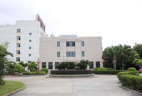 北京南泽龙鱼价钱